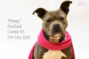 A-16PennyA038506pic1.jpg