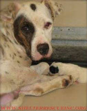 I-5mompup15024pic1wtmk.jpg