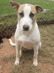 Nova20100pic2.jpg