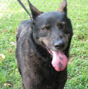 Onyx1.jpg