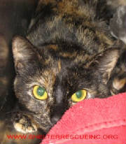 Q-14tortmom17963pic1.jpg