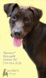 A-14SpencerS034988pic1.jpg