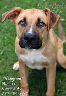 B-10HamptonA035115pic1.jpg