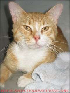 PT-5ow15155pic1wtmk.jpg