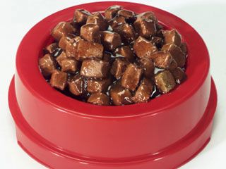 WETDOGFOOD.jpg