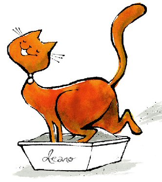 kittylitter5.jpg