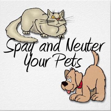 spayandneuteryourpetsp228389546160027941tdcp400copy.jpg